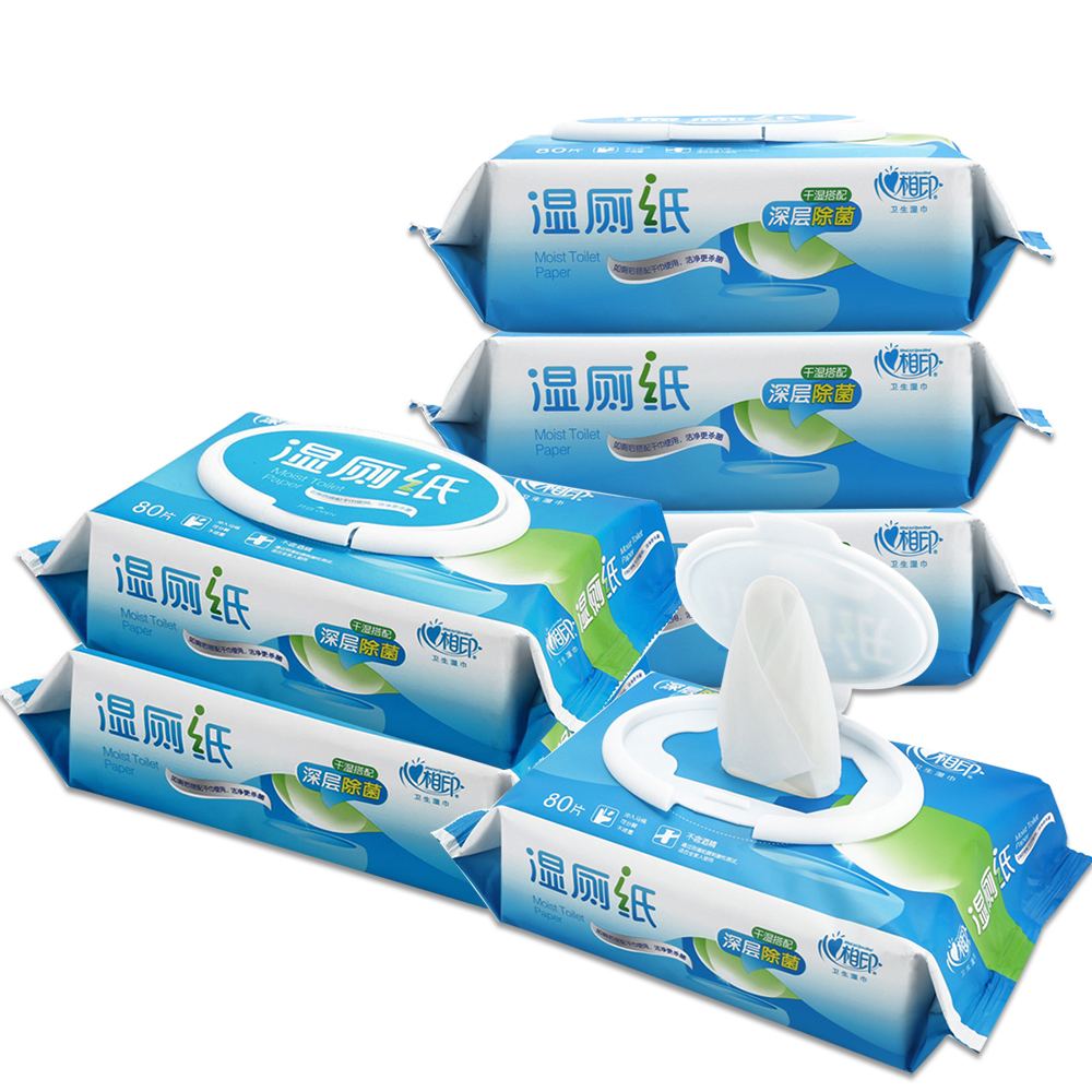 湿厕纸