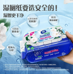 维达（Vinda）湿厕纸 家庭装80片*1包